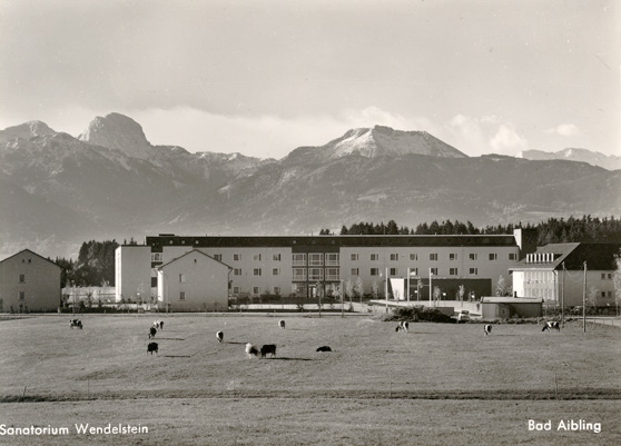 Foto-Knarr